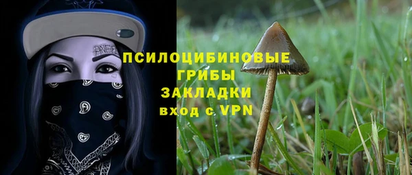 скорость Богородск