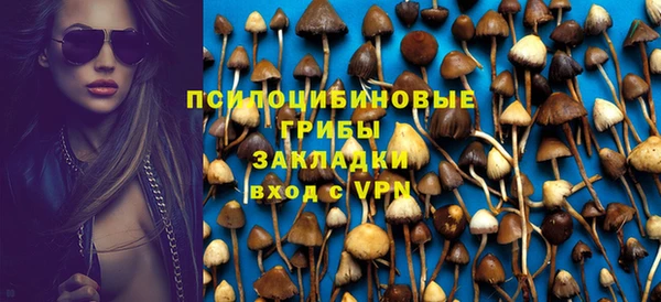 МДПВ Белокуриха