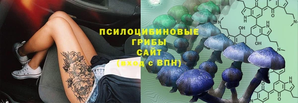 ПСИЛОЦИБИНОВЫЕ ГРИБЫ Богородицк