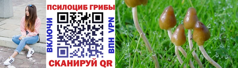 Галлюциногенные грибы Cubensis  ссылка на мегу   Каневская 